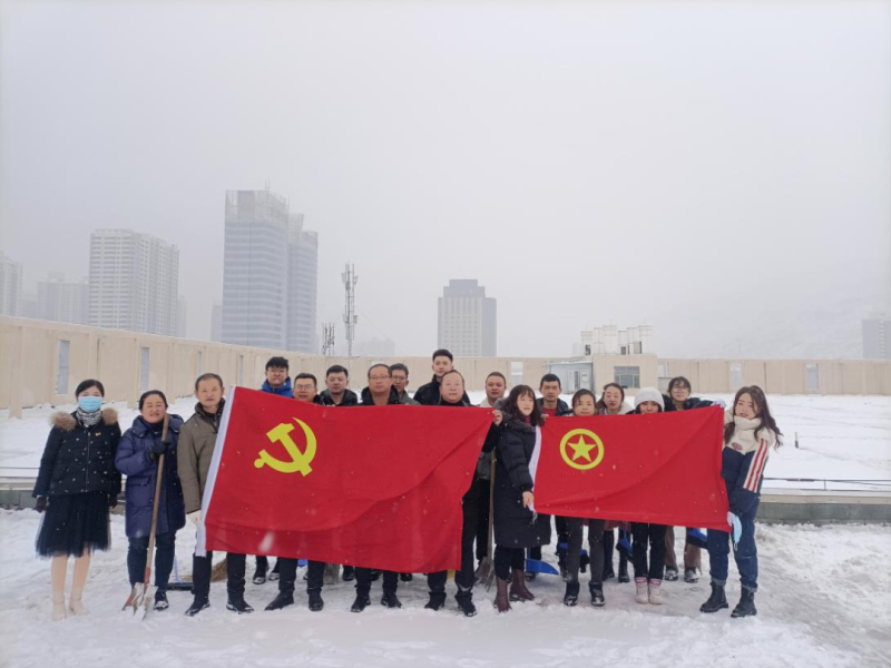 党团齐发力 除雪在一线&mdash;&mdash;现代物流公司党支部开展除雪保安全活动