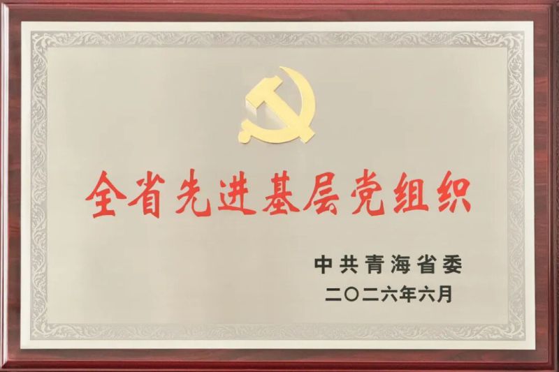 喜报！省物产集团党委及所属集体个人荣获全省和省国资委系统&ldquo;两优一先&rdquo;表彰