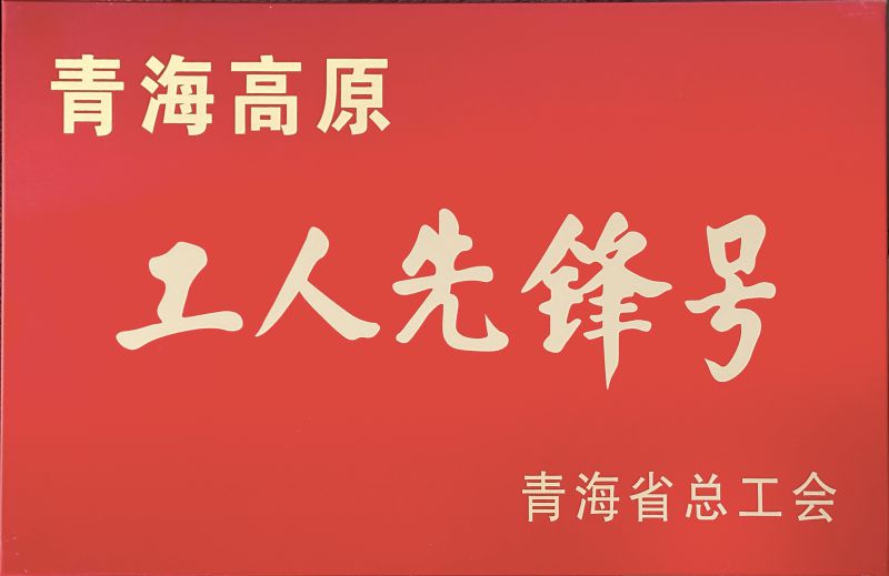 物产工投公司电解二车间被命名青海高原&ldquo;工人先锋号&rdquo;