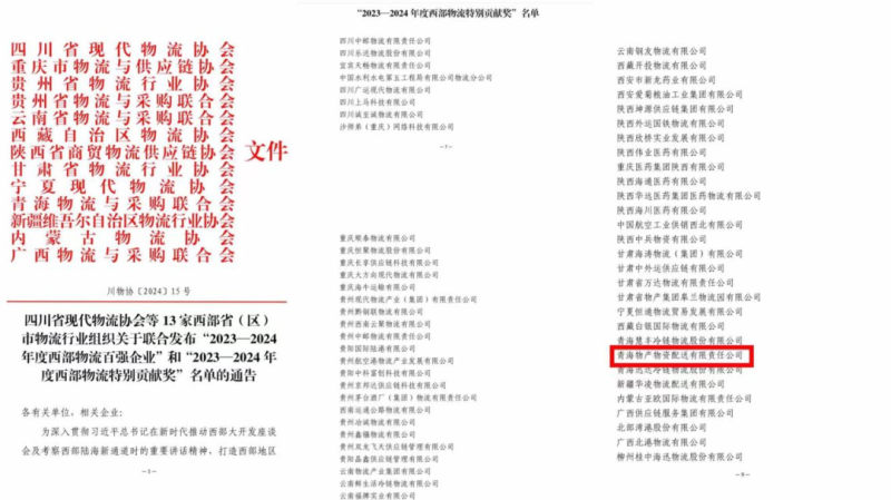 2023&mdash;2024年度西部物流特别贡献奖