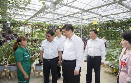 //www.chinanews.com/cr/2015/1227/3425810132.jpg